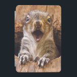 Capa Para iPad Mini Esquilo chocado<br><div class="desc">Um pico novo do esquilo fora de uma caixa-ninha. Foto submetida por um leitor do país. O compartimento do país comemora a beleza excitante, pessoas de contrato, resistindo valores e estilo de vida espiritual rewarding do campo americano. Nossos leitores entusiásticos contribuem quase três quartos do índice de cada compartimento, compartilhando...</div>
