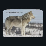 Capa Para iPad Mini Inverno - Lobo<br><div class="desc">Foto: Justin Maguire. Tundra wolf procura por presa. Local: Kuujjuarapik, Quebec</div>