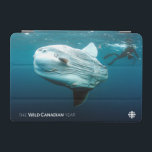 Capa Para iPad Mini Mola Mola<br><div class="desc">A partir do fazer do Ano Canadiano Selvagem - O cinegrafista submarino Ian McAllister mergulha com um enorme mola, ou peixe-sol, do tamanho de um caminhão de coleta. Localização: West Coast of British Columbia_x000D_ _x000D_ Dos criadores da série aclamada WILD CANADA, vem uma nova série legada de cinco partes, que...</div>