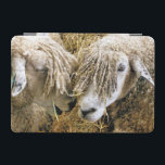 CAPA PARA iPad MINI OVINO<br><div class="desc">Duas lindas ovelhas Cotswold capturadas fotograficamente em um momento engraçado e humorístico conversando entre si. Os ovinos de coalhada são originários dos Cotswolds, na Inglaterra, e são criados para a sua lã e carne. Eles têm pulgas longas com quase ouro de tonalidade.</div>