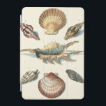 Capa Para iPad Mini Rico Shell Beach<br><div class="desc">George Wolfgang Knorr é conhecido pelo delicado detalhe e precisão de suas ilustrações de conchas e estrelas-do-mar. Seus desenhos foram influenciados por seu próprio interesse pela ciência, assunto popular de sua época.</div>