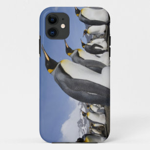 Capa Para iPhone 11 A Antártica, ilha sul de Geórgia (Reino Unido),