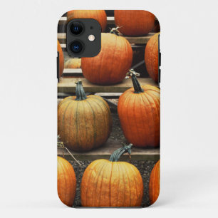 Capa Para iPhone 11 Abóboras de outono