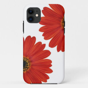 Capa Para iPhone 11 Abrace as margaridas da felicidade