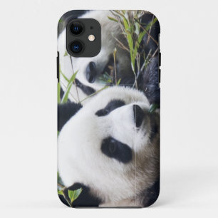 Capa Para iPhone 11 Abraços do Urso de Panda