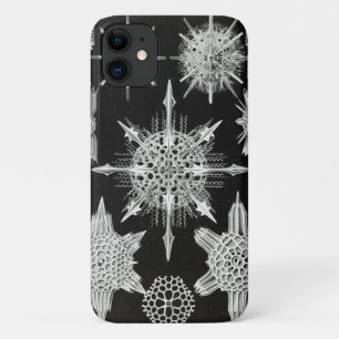 Capa Para iPhone 11 Acanthophracta, Wunderstrahlinge Animal Aquático