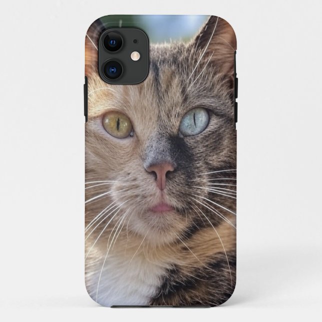 Capa Para iPhone 11 Adicionar Personalização de Foto de Cat (Verso)