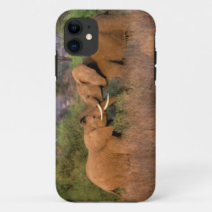 Capa Para iPhone 11 África, Quênia, Samburu. Desafio dos elefantes