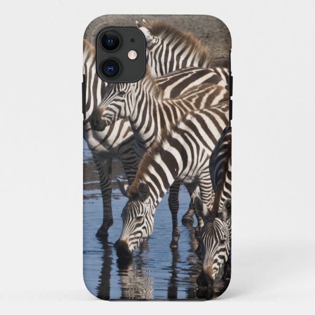 Capa Para iPhone 11 África. Tanzânia. Bebendo Zebras no Ndutu (Verso)