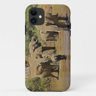 Capa Para iPhone 11 Afro-elefantes, Loxodonta Africana, Samburu