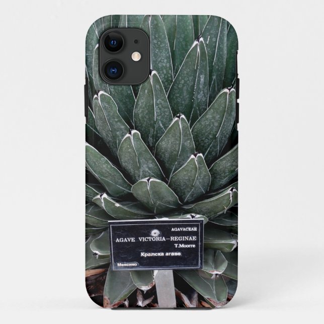 Capa Para iPhone 11 Agave Victoria Photo iPhone SE + iPhone 5/5S (Verso)