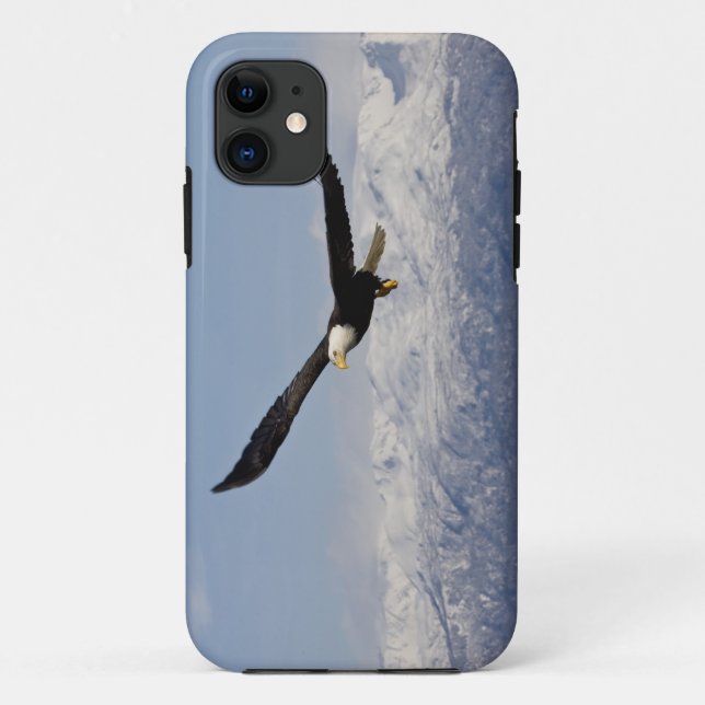 Capa Para iPhone 11 Águia Balda em Voo, Haliaeetus leucocephalus, 3 (Verso)