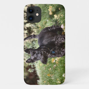 Capa Para iPhone 11 Ah