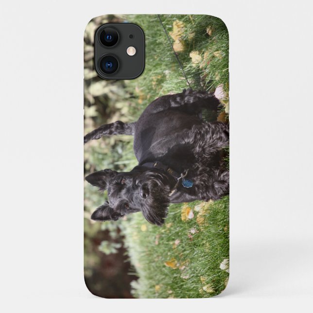 Capa Para iPhone 11 Ah (Verso)