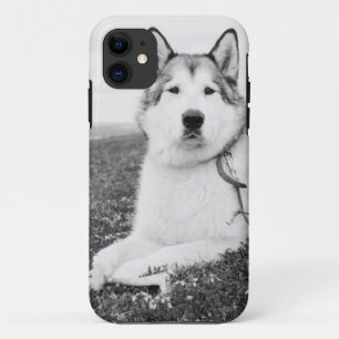 Capa Para iPhone 11 alaskan-malamute bw.png