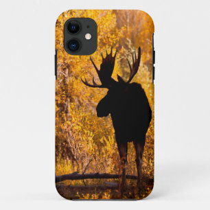 Capa Para iPhone 11 Alces (Alces) do Alces Bull nos salgueiros