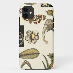 Capa Para iPhone 11 Animais Partilhados Pintados em Fundo de Creme