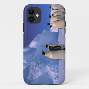 Capa Para iPhone 11 Antártida, Território Antártico Australiano, 7