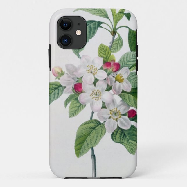 Capa Para iPhone 11 Apple floresce, 'do DES de Les Choix mais Belles (Verso)