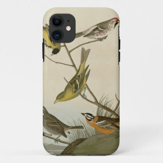 Capa Para iPhone 11 Arkansaw Siskin, Vermelho-votação Mealy, Tanager