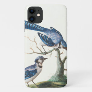 Capa Para iPhone 11 Arte de Aves Azuis de Caimento