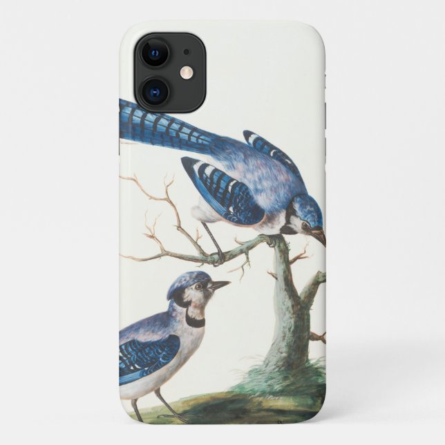 Capa Para iPhone 11 Arte de Aves de Capoeira Azul (Verso)