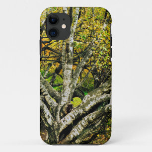 Capa Para iPhone 11 Árvore de Bétula Careliana Entalada Mística