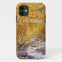 Árvores Aspen Coloridas de Outono em Morrison Colo