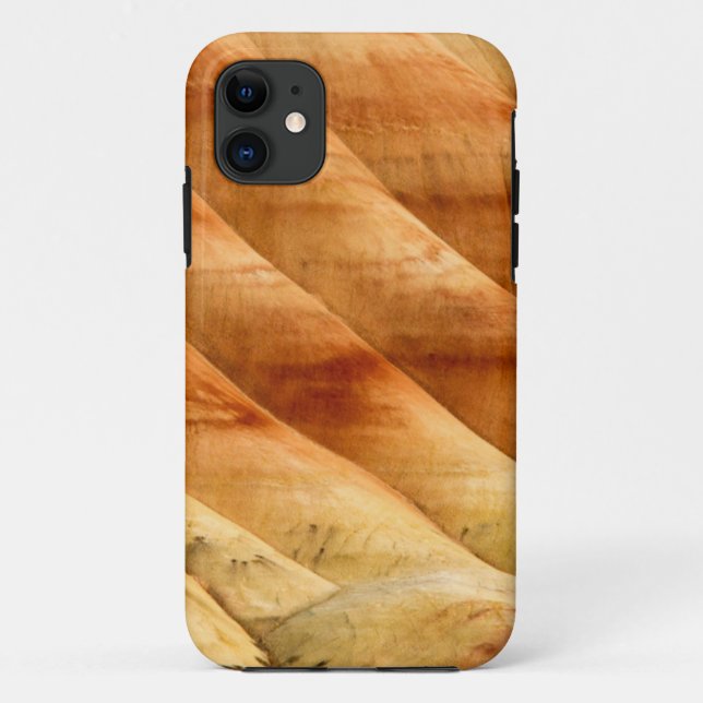 Capa Para iPhone 11 As Colinas Pintadas Nos Leitos de Fósseis de John  (Verso)
