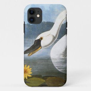 Capa Para iPhone 11 Audubon: Cisne comum