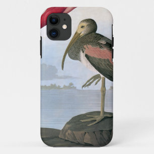 Capa Para iPhone 11 Audubon: Escarlate dos íbis