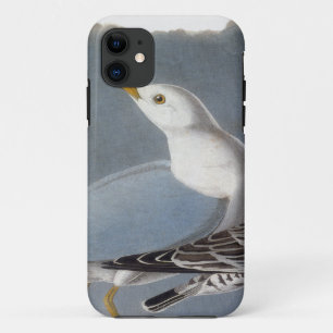 Capa Para iPhone 11 Audubon: Gaivota Anel-Faturada