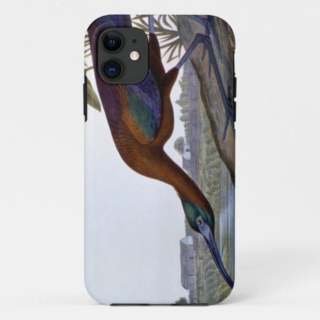 Capa Para iPhone 11 Audubon: Íbis lustrosos (Verso)