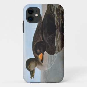 Capa Para iPhone 11 Audubon: Negrinha preta