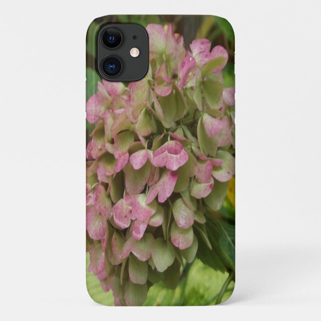 Capa Para iPhone 11 Autumn Hydrangea Bloom com Ouro Hosta Leaves (Verso)