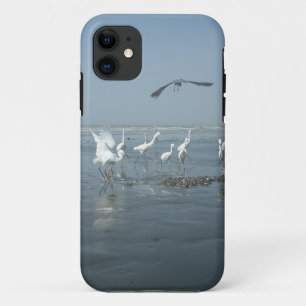 Capa Para iPhone 11 Aves brancas alimentam hakuna matata.JPG