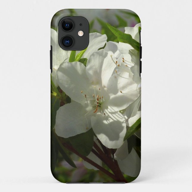 Capa Para iPhone 11 Azaleas brancas e solares lindas flores de primave (Verso)