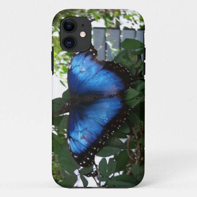 CAPA PARA iPhone 11 AZUL BUTTERLY (Verso)