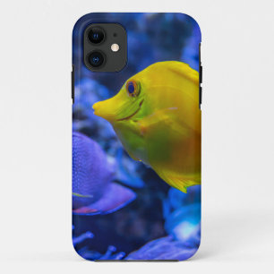 Capa Para iPhone 11 Azul E Amarelo - Dois Bons Pescados