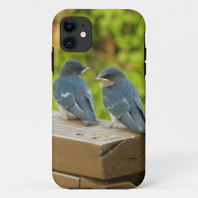 Capa Para iPhone 11 Baby Barn Swallow Nature Bird Foto (Verso)