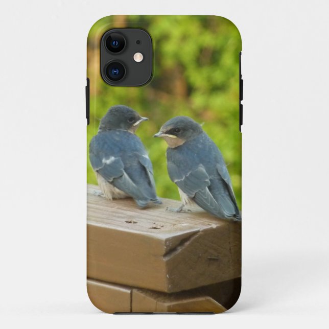 Capa Para iPhone 11 Baby Barn Swallow Nature Bird Foto (Verso)