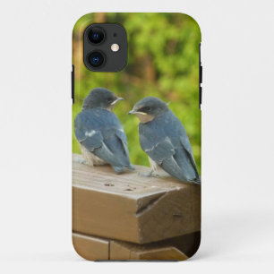 Capa Para iPhone 11 Baby Barn Swallow Nature Bird Fotografia