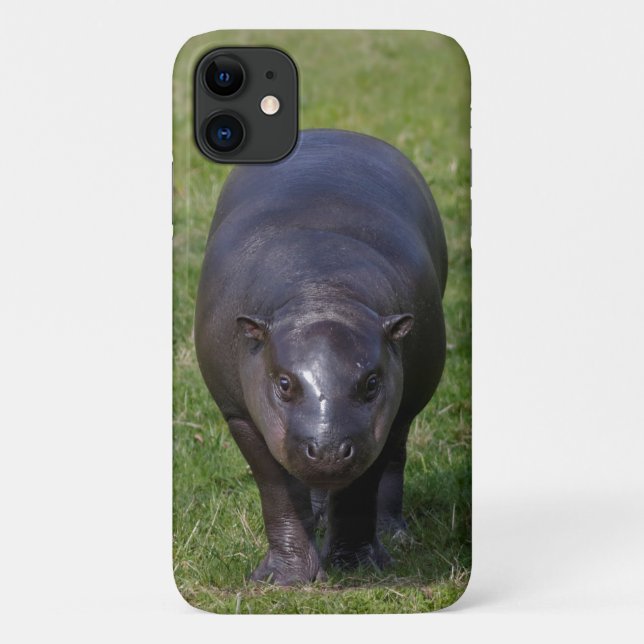 Capa Para iPhone 11 Baby Hippo iPhone 11 Case (Verso)