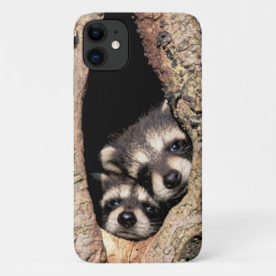 Capa Para iPhone 11 Baby Raccoons saindo da árvore