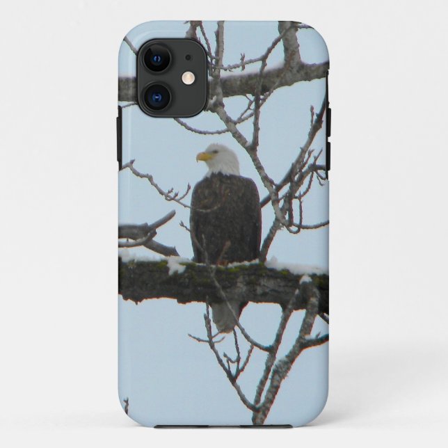 Capa Para iPhone 11 Bald Eagle (Verso)
