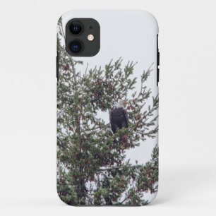 Capa Para iPhone 11 Bald Eagle P2825
