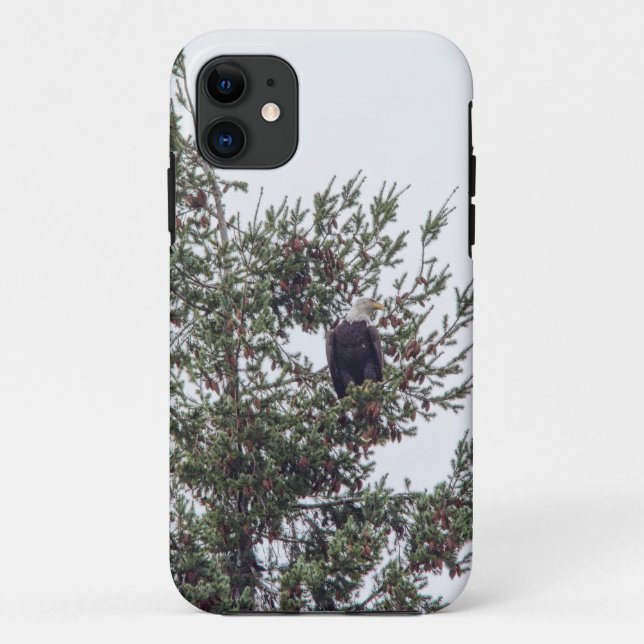 Capa Para iPhone 11 Bald Eagle P2825 (Verso)