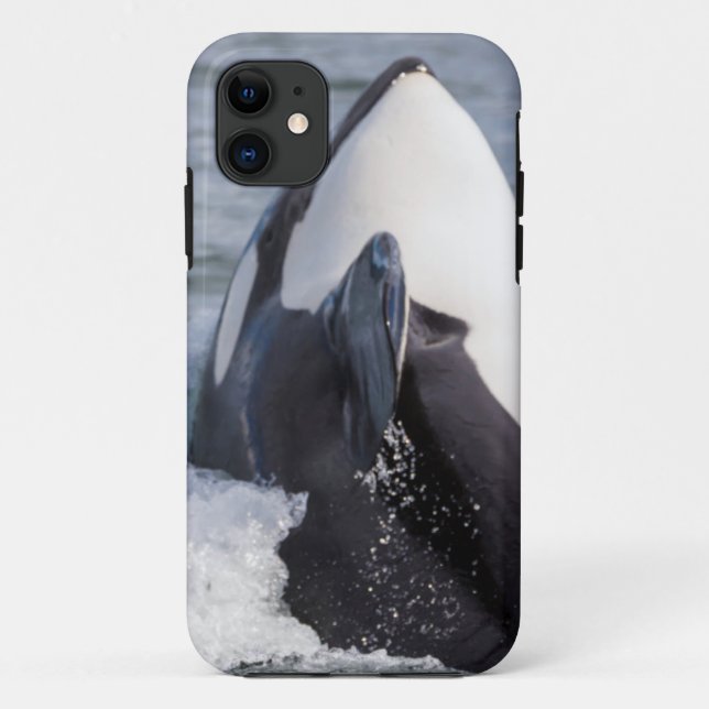 Capa Para iPhone 11 Baleia Orca saltando (Verso)