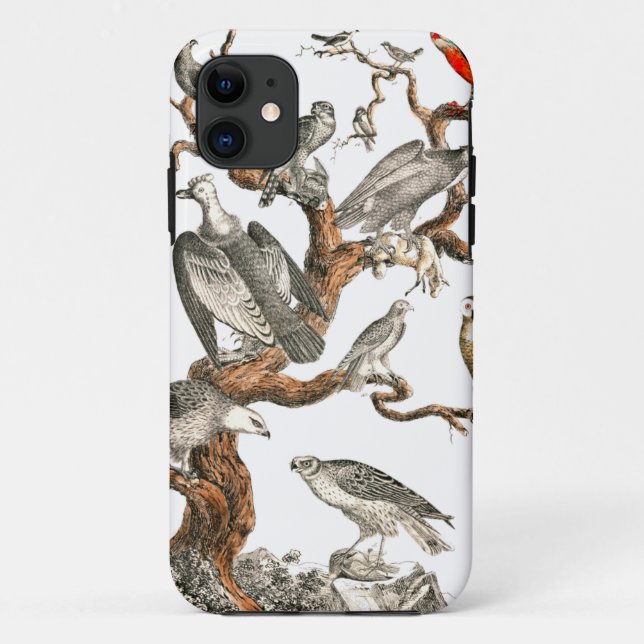 Capa Para iPhone 11 Barn Owl Snowy Bird Nature (Verso)