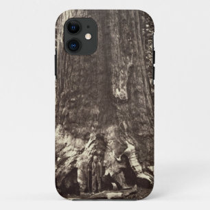 Capa Para iPhone 11 Base do gigante do urso, 'do livro de Yosemite